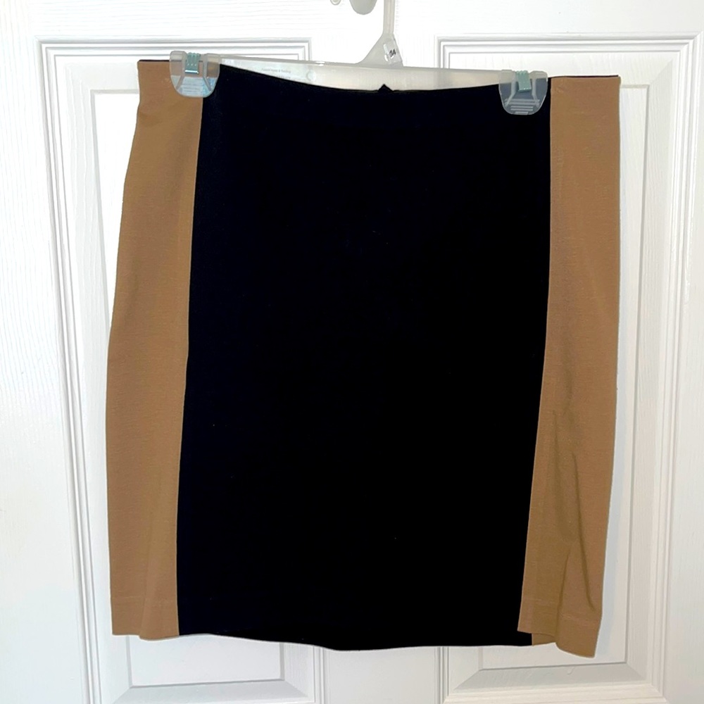 Women’s Ann Taylor Skirt